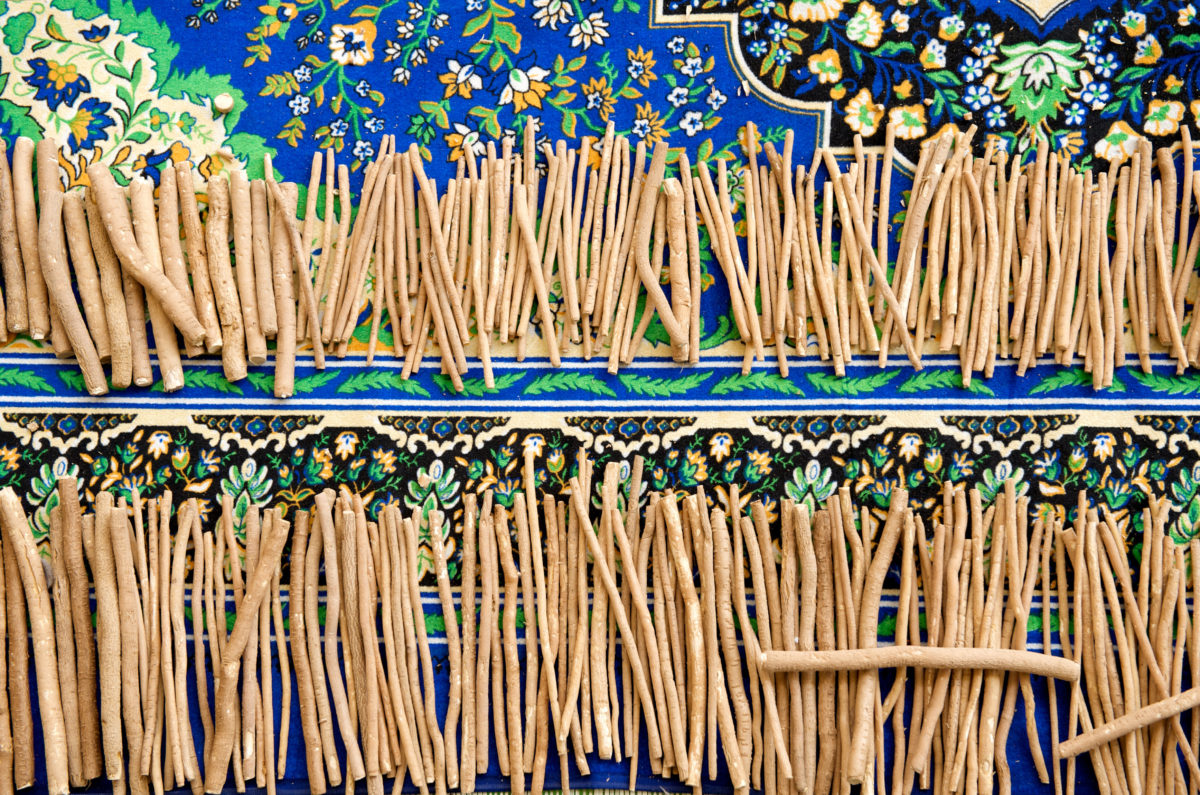 Different Strokes for Different Folks A History of the Toothbrush